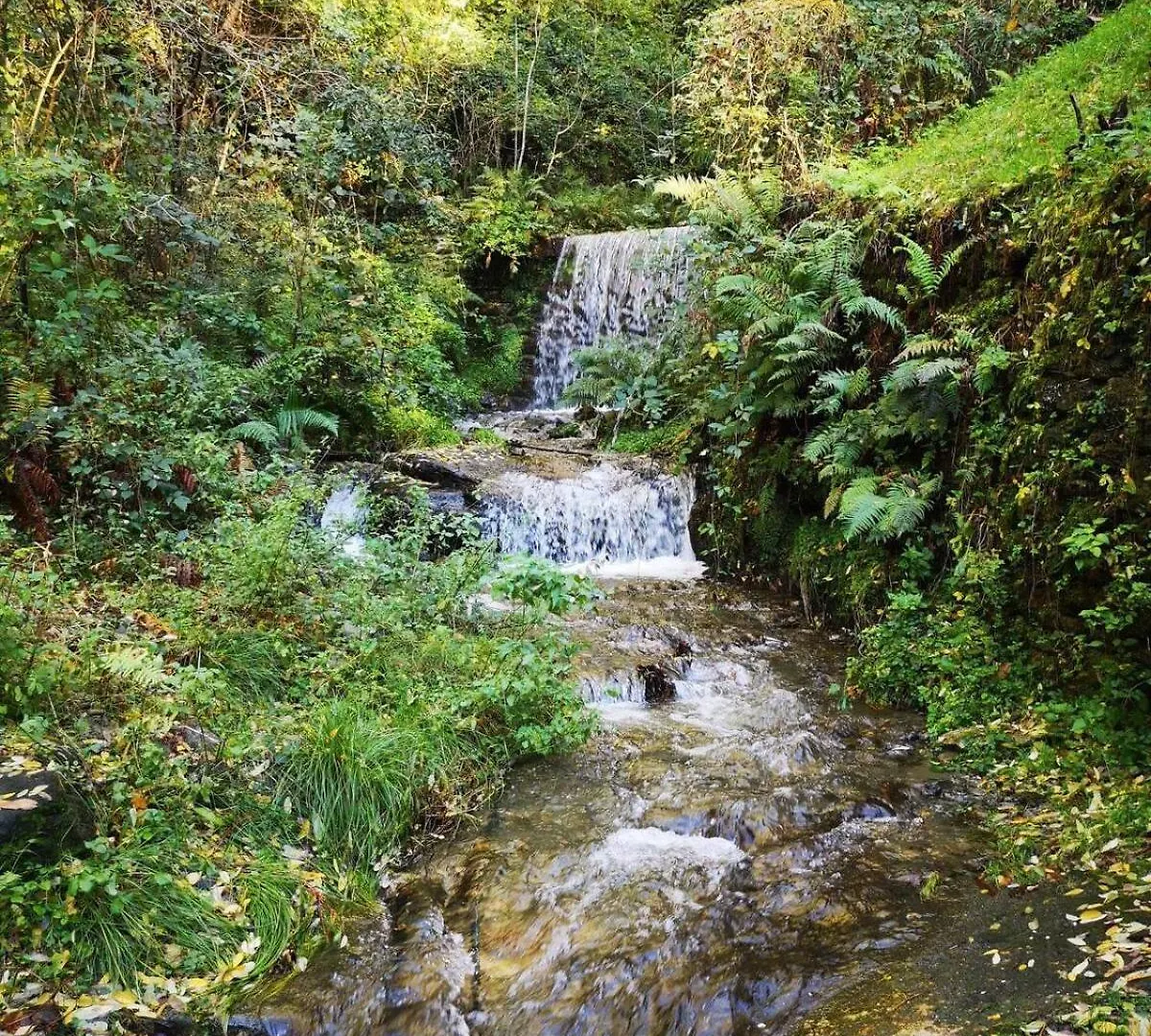 Dom wakacyjny Willa Casa Tipica In Borgo Storico Dorio